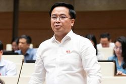 ĐBQH: Phát triển nhà cho thuê, nhiều người dân sẽ có nhà ở như mong ước