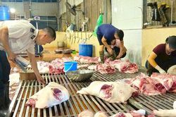 Vận hành hiệu quả mô hình giết mổ tập trung tạm thời