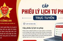 Các bước thực hiện cấp Phiếu lý lịch tư pháp trực tuyến