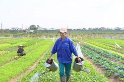 Bảo đảm khung thời vụ với cơ cấu dịch chuyển tích cực