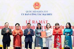 Ra mắt Nh&oacute;m đại biểu Quốc hội hoạt động chuy&ecirc;n tr&aacute;ch ở địa phương kh&oacute;a XVI