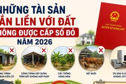 Những tài sản gắn liền với đất không được cấp sổ đỏ năm 2026