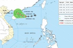 Áp thấp nhiệt đới di chuyển chậm, giữ nguyên cường độ sức gió