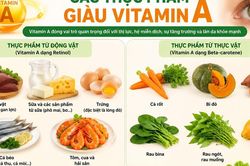 Lợi ích vô giá của vitamin A và cách bổ sung đúng