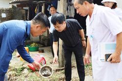 Mưa nắng thất thường, nguy cơ sốt xuất huyết lan rộng
