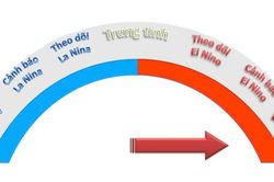 El Nino hoạt động mạnh, Bắc bộ đón mùa Đông ấm áp, Trung bộ thiếu hụt mưa