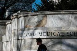 Đại học Harvard chi 53 triệu USD dàn xếp bê bối lấy cắp thi thể hiến tặng đem bán
