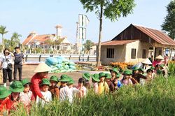 Festival Quốc tế ngành hàng Lúa gạo Việt Nam sắp diễn ra tại TP Cần Thơ