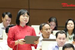 4 chương tr&igrave;nh mục ti&ecirc;u quốc gia th&agrave;nh 1 chương tr&igrave;nh: T&iacute;ch hợp phải tạo ra một gi&aacute; trị mới