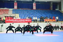 Hơn 700 tài năng trẻ hội tụ, giữ lửa võ học dân tộc