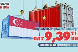 Việt Nam - Singapore đạt 9,39 tỉ USD, nhập siêu 1,46 tỉ USD