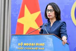 Bộ Ngoại giao thông tin về việc 170 công dân Việt Nam bị bắt ở Pakistan