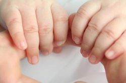 Hoàn thiện dự án Luật Nuôi con nuôi (sửa đổi)
