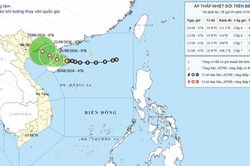 Áp thấp nhiệt đới, giật cấp 8, ở phía đông đảo Hải Nam (Trung Quốc)