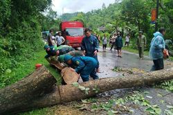 Nghệ An: Mưa lớn cuốn trôi cầu, nhiều nơi bị ngập lụt, chia cắt