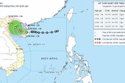 &Aacute;p thấp nhiệt đới c&oacute; khả năng mạnh l&ecirc;n th&agrave;nh b&atilde;o