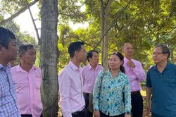 Trung Quốc phê duyệt thêm 567 mã số vùng trồng và cơ sở đóng gói sầu riêng
