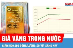 Giá vàng chiều 20-8 giảm nhẹ so với buổi sáng