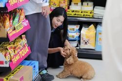 Thị trường thú cưng Việt Nam nằm trong nhóm có tốc độ tăng trưởng ấn tượng nhất khu vực châu Á