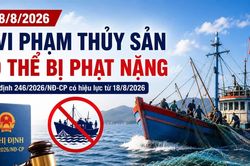 5 vi phạm thủy sản c&oacute; thể bị phạt nặng từ ng&agrave;y 18/8