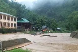 Thêm nhiều thiệt hại tại Nghệ An do mưa lớn
