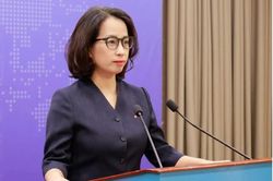 Việt Nam lên tiếng việc Mỹ nêu danh sách 40 đối tác có nguy cơ 'bị lợi dụng để tránh thuế'