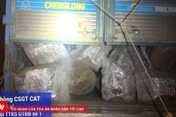 CSGT Gia Lai phát hiện xe chở gỗ không có hóa đơn, nguồn gốc hợp pháp