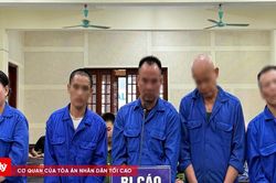 C&aacute;i gi&aacute; của những phi vụ ma t&uacute;y tiền tỷ