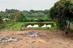 Được chuyển 360m2 đất sang đất ở nhưng không đủ tiền nộp: Người dân cần làm gì?