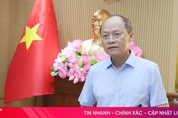 Rà soát, sửa đổi, thay thế, bãi bỏ các nghị quyết không còn phù hợp