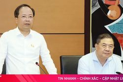 Hoàn thiện khung pháp lý về hình sự, tố tụng và điều tra