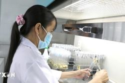 Vĩnh Long tạo sức bật cho hệ sinh thái đổi mới sáng tạo, khoa học, công nghệ