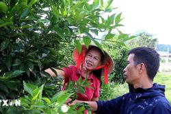Nghị quyết 19-NQ/TW: Bước chuyển chiến lược trong tư duy phát triển của Việt Nam