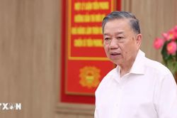 Tổng Bí thư, Chủ tịch nước Tô Lâm: Không để thực tiễn đi quá xa rồi lý luận mới tổng kết