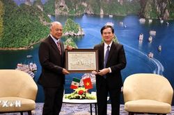Đoàn đại biểu cấp cao Đảng Lao động Mexico thăm và làm việc tại Quảng Ninh