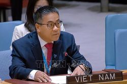Việt Nam thúc đẩy nâng cao hiệu quả hoạt động của HĐBA LHQ