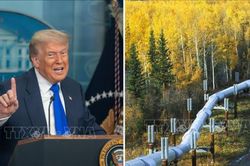 Tổng thống Trump muốn hồi sinh dự án đường ống dẫn dầu từng gây tranh cãi