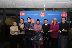 ASEAN v&agrave; Nam Phi hiện thực h&oacute;a đối thoại bằng h&agrave;nh động cụ thể