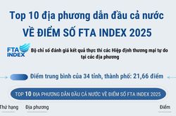 Top 10 địa phương dẫn đầu cả nước về điểm số FTA Index 2025