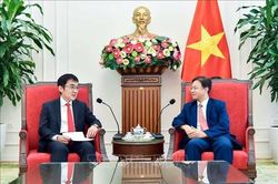 Viện Nghiên cứu Kinh tế ASEAN - Đông Á sẵn sàng đóng góp các ý tưởng trao đổi tại APEC 2027