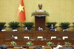 Thông cáo báo chí số 13, Kỳ họp không thường lệ thứ Nhất, Quốc hội khóa XVI