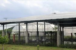 Thành lập Ban Quản lý các khu kinh tế và các khu công nghiệp Đắk Lắk
