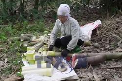 Nông dân Lào Cai làm giàu từ liên kết xuất khẩu măng Bát Độ