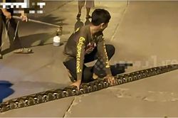 Nửa đêm, người dân phát hiện cảnh tượng 'nổi da gà', cả xóm ùn ùn đến xem