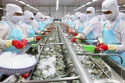 Thị trường Nam Mỹ còn nhiều dư địa cho hàng Việt