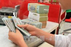 Tỷ giá hôm nay 20/8: Giá USD không đổi