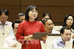 Đại biểu Quốc hội đánh giá cao việc tích hợp 4 chương trình mục tiêu quốc gia