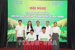 Canh tác lúa theo hướng bền vững, thân thiện với môi trường