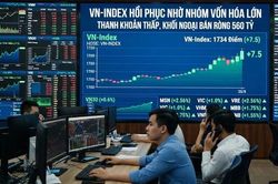 Nhóm vốn hóa lớn 'gánh' chỉ số: VN-Index tăng 7,5 điểm trong phiên 20/8
