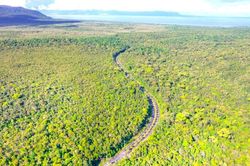 Phát hiện nhiều sai phạm trong quản lý rừng tại Phú Quốc